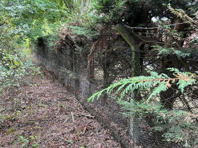 Before photo - chain link fencing in Didcot